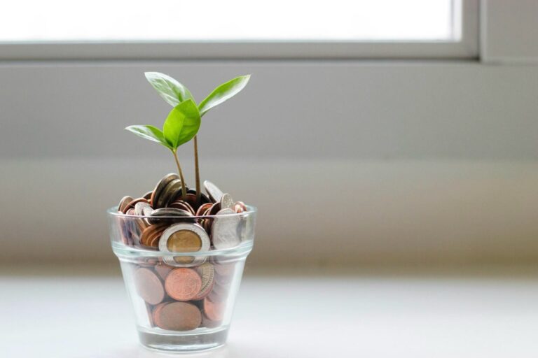 The Role of a Personal Financial Specialist in Wealth Management