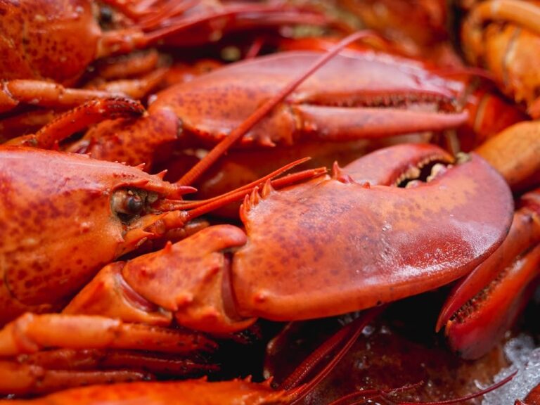 Enjoy Fresh Lobster Without Leaving Your Home