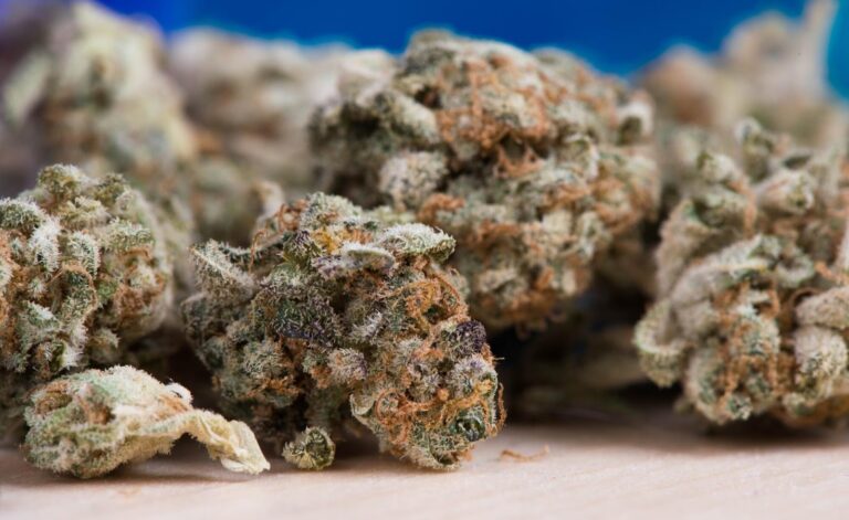 Cannabis Legislation