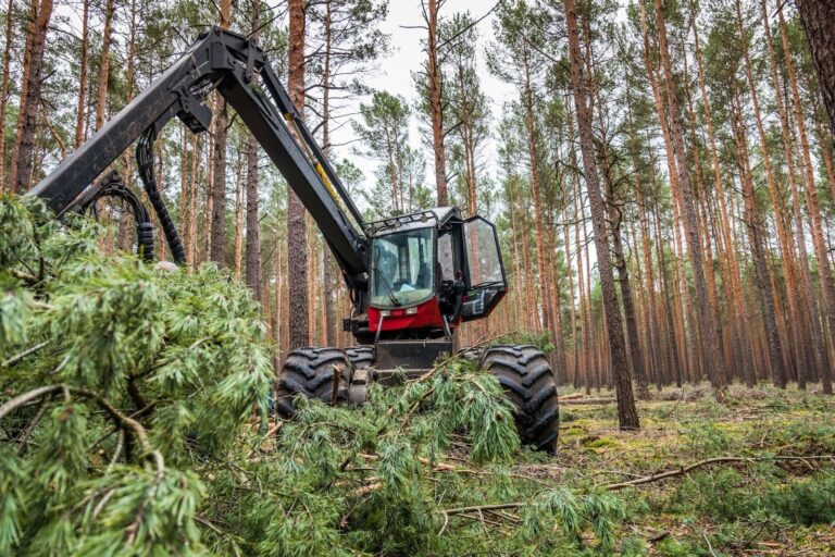 Investing in Forestry Equipment